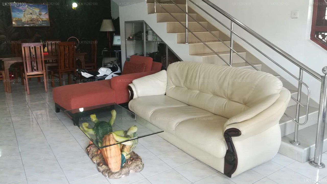 Yoho Wonderful Villa