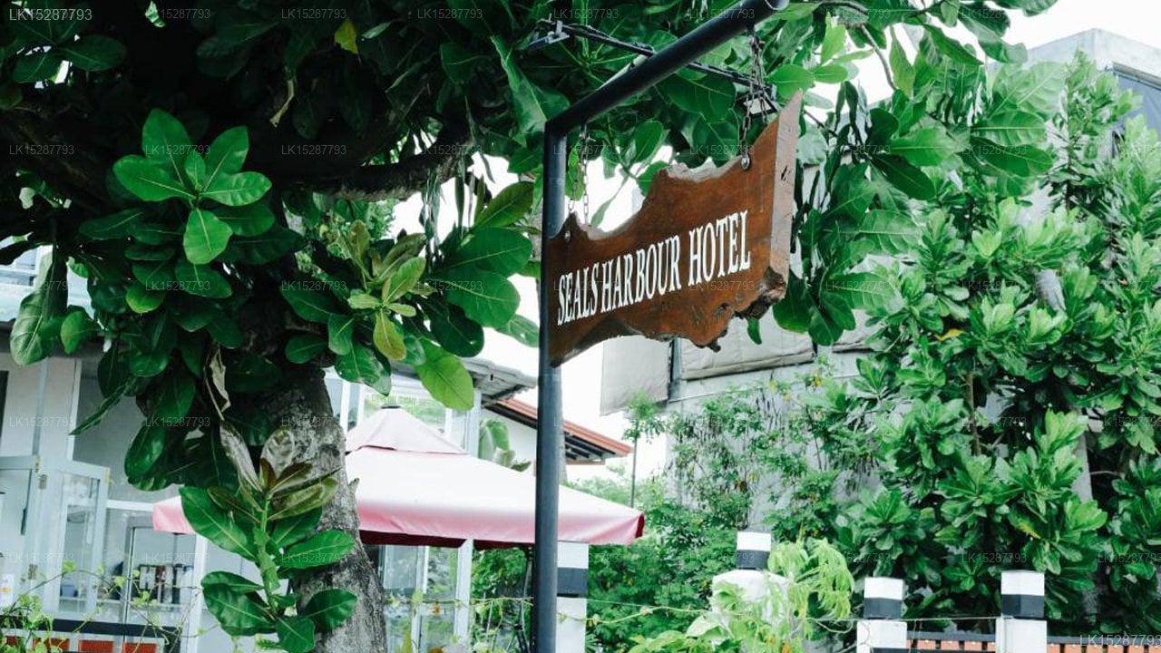 Seals Harbor Hotel