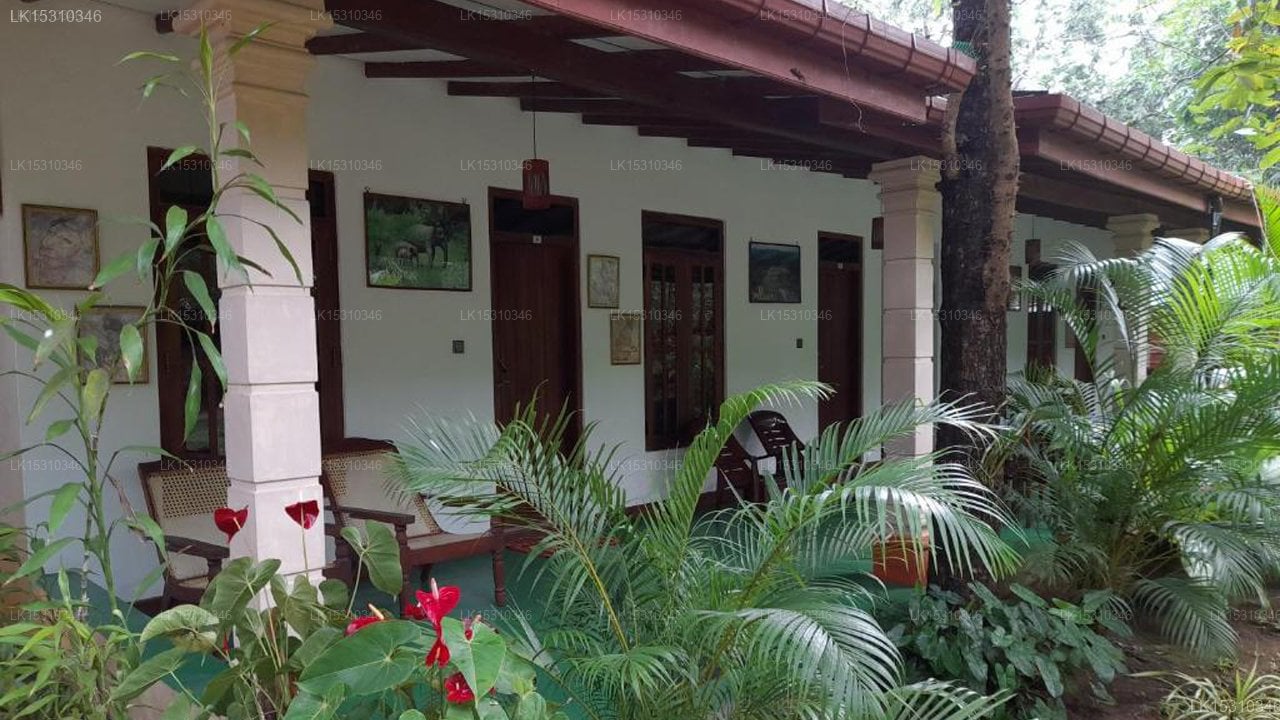 Sigiri Jungle Villa