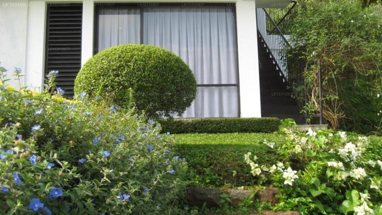 Zenith Home Stay