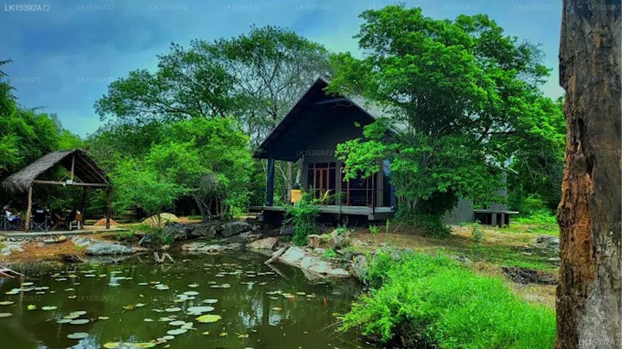 turtle pond wilpattu