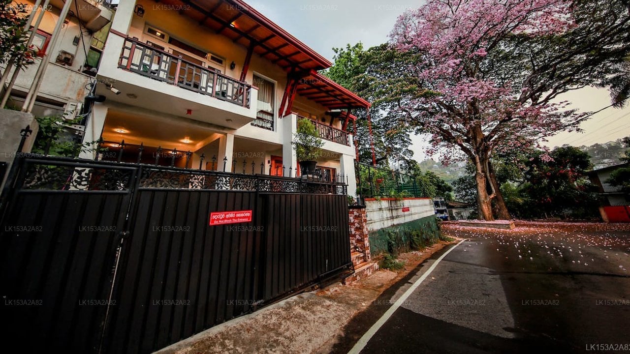 Y&Y RESIDENCE, Kandy