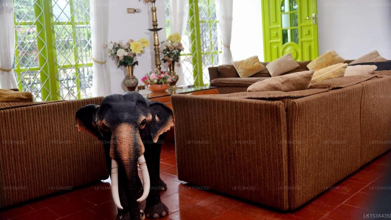 Kandy La Grande