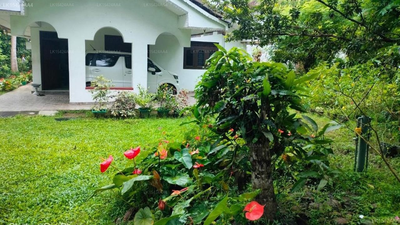 Surf Villas Weligama