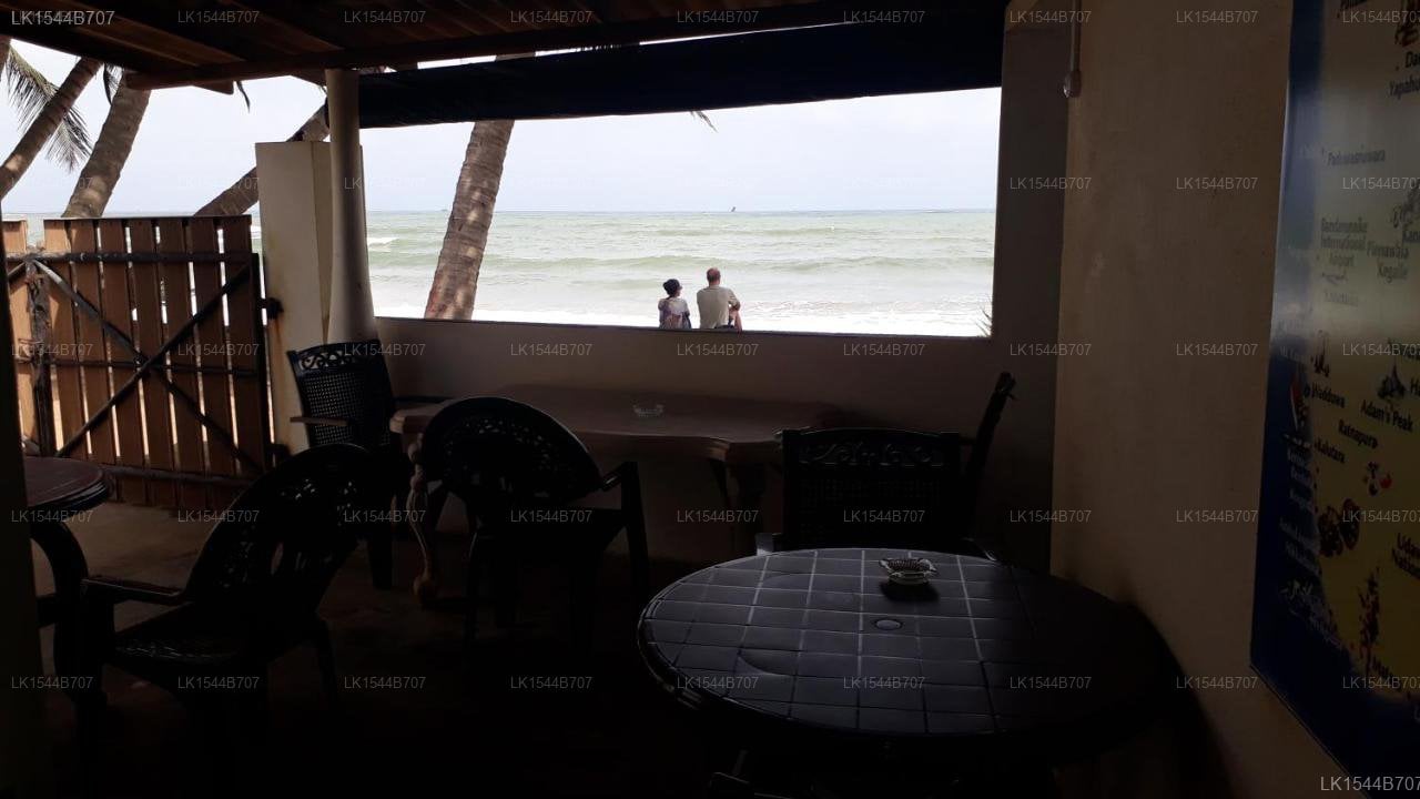 Beach House