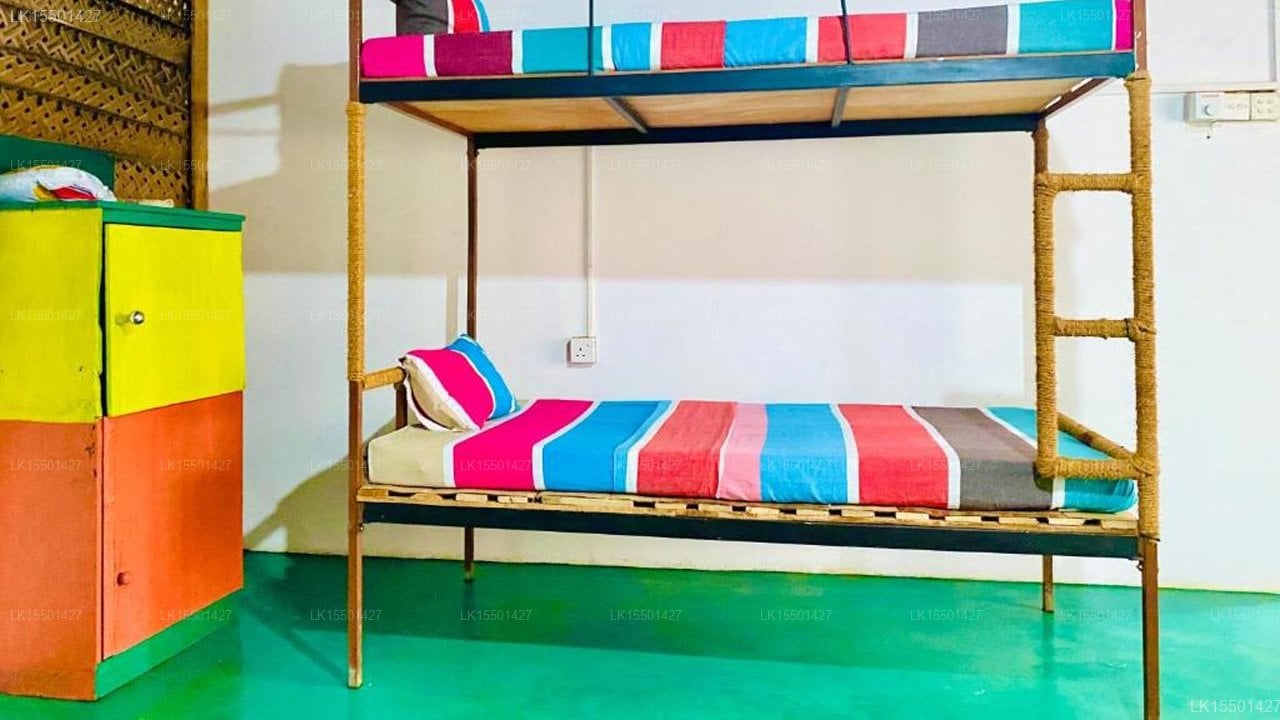 Reggae paradise hostel