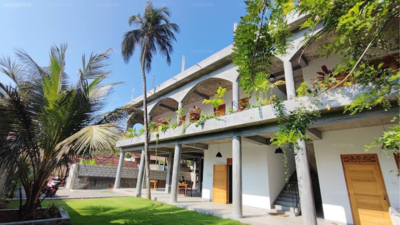Flying Fox Mirissa