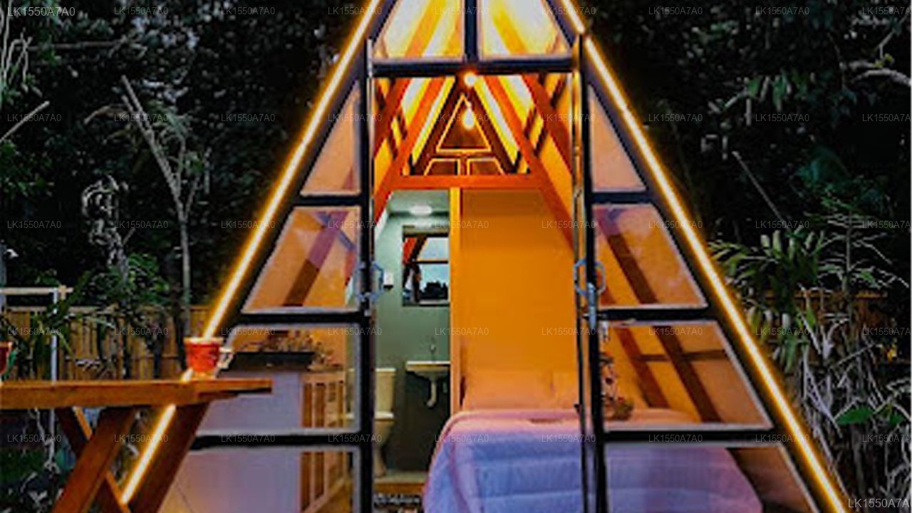 The WE2 - Wildwood Elegance Escape