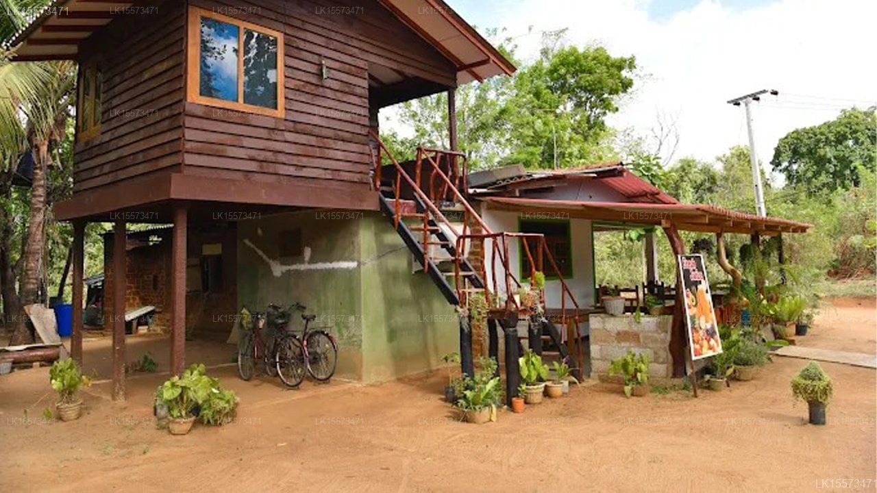 Pidurangala view Homestay