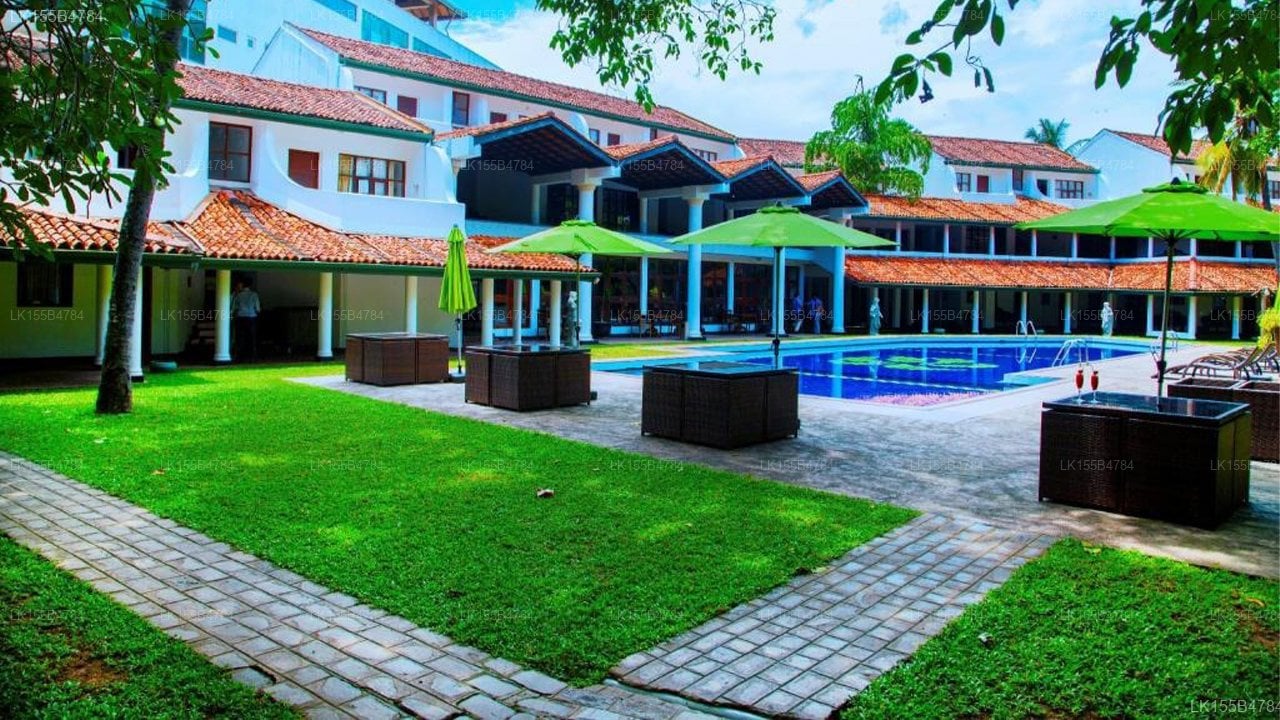 Palms Mount Lavinia