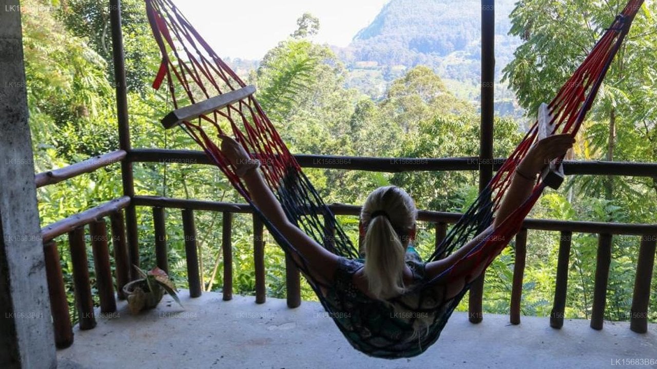Nice View Homestay