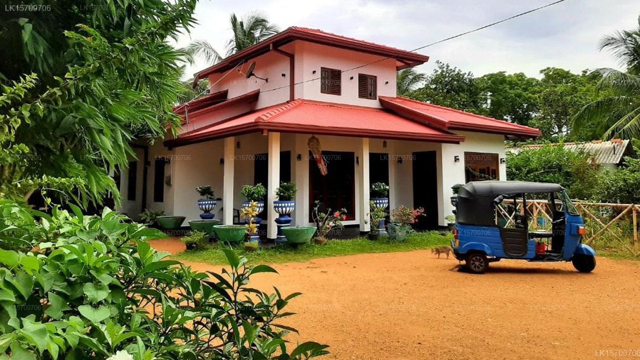 Udara guest Yala Safari