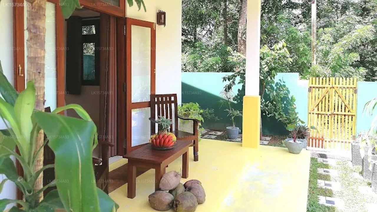 Hiriketiya Studios Lotus House
