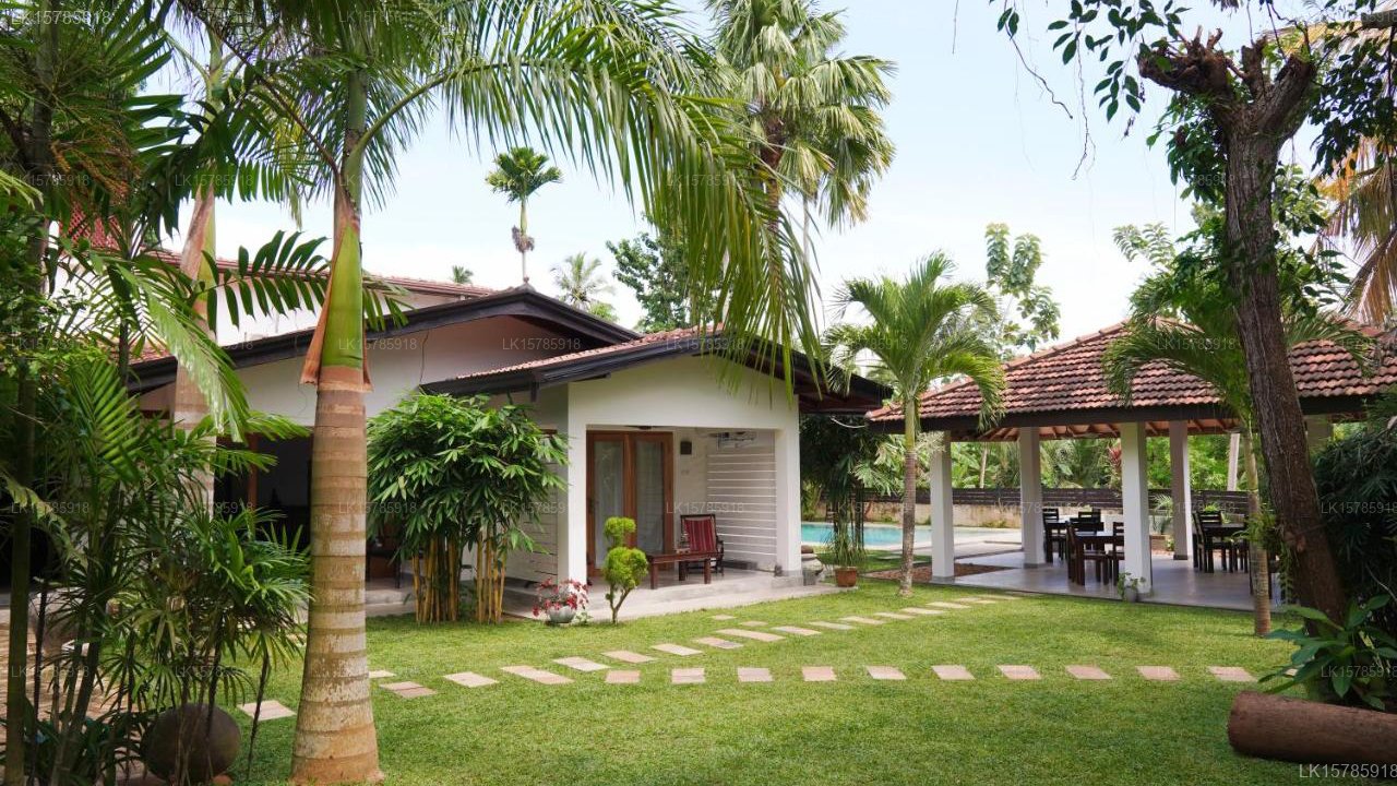 The Secret Guesthouse