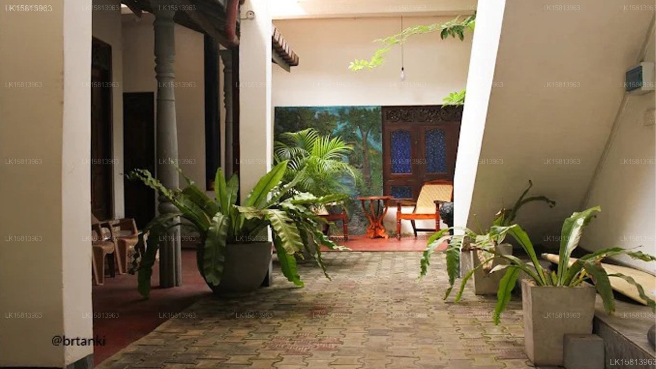 Coco Plant Surf Inn