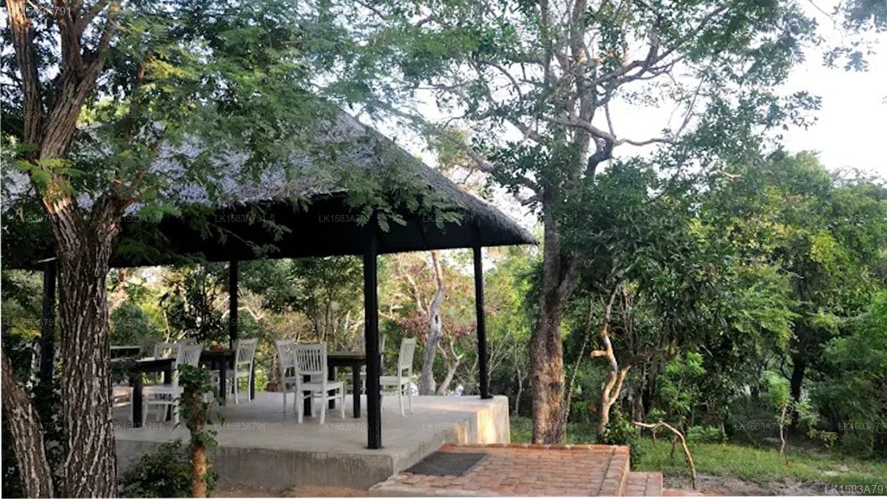 The Backwaters Lodge - Wilpattu