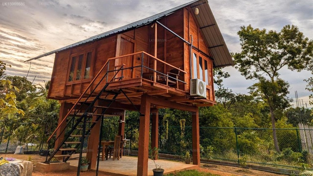 Lion Wood Treehouse