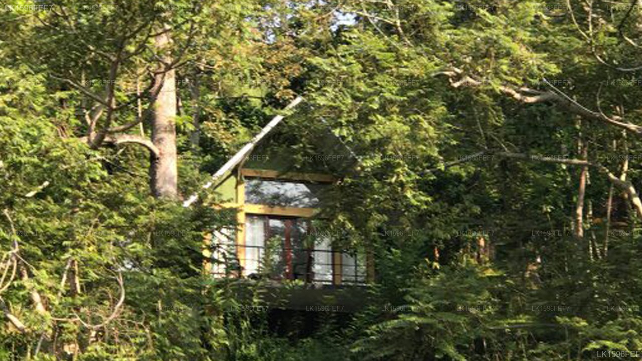 Hotel The Wild Nillamba