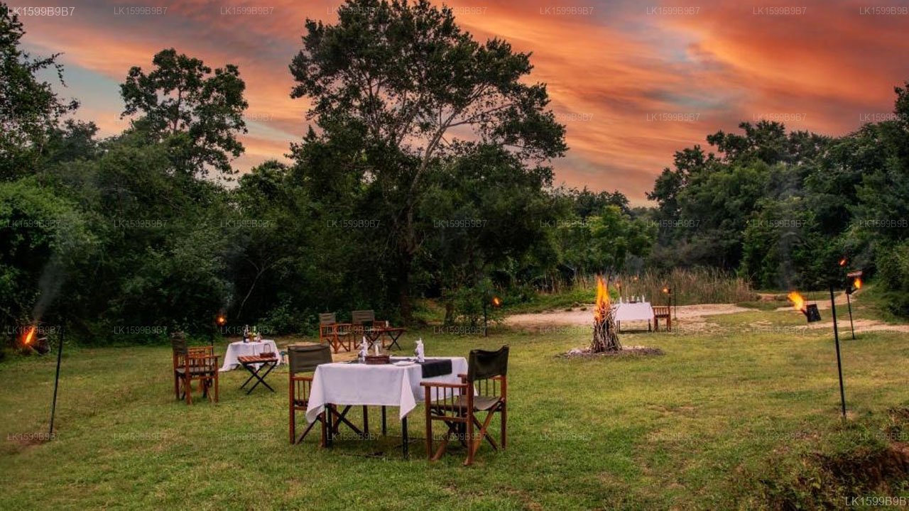Mahoora Safari Camping, Yala