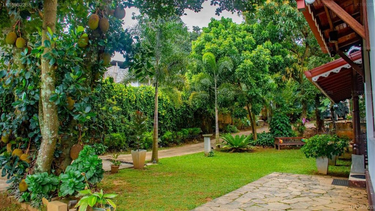 Homestay garden Rest Kandy