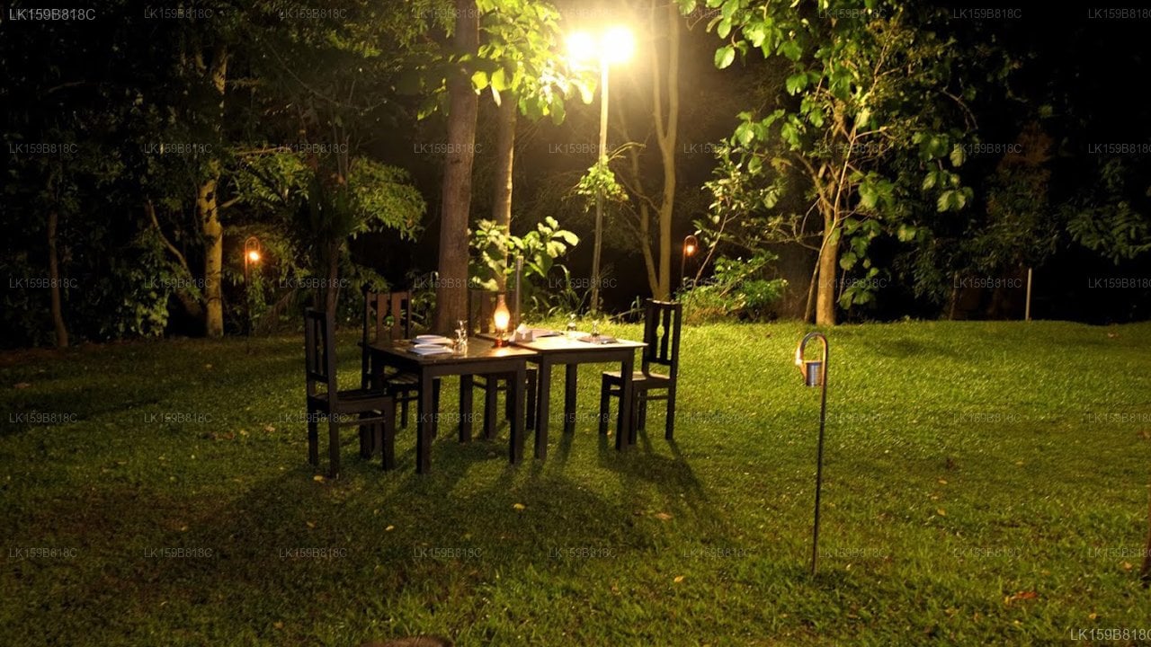 The Mastodon Valley Safari Resort