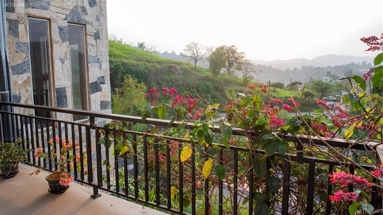 Sky Edge Homestay