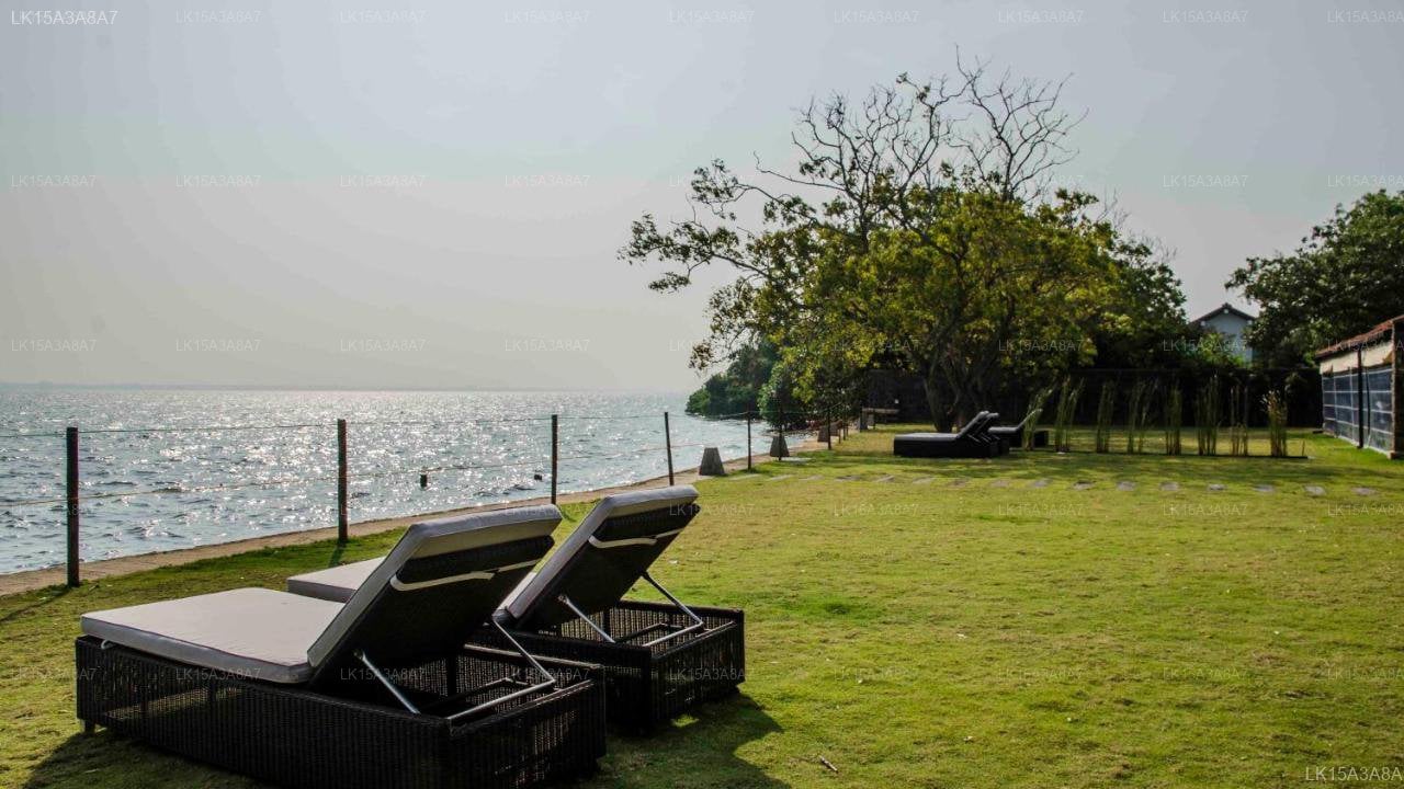 Arie Lagoon, Negombo