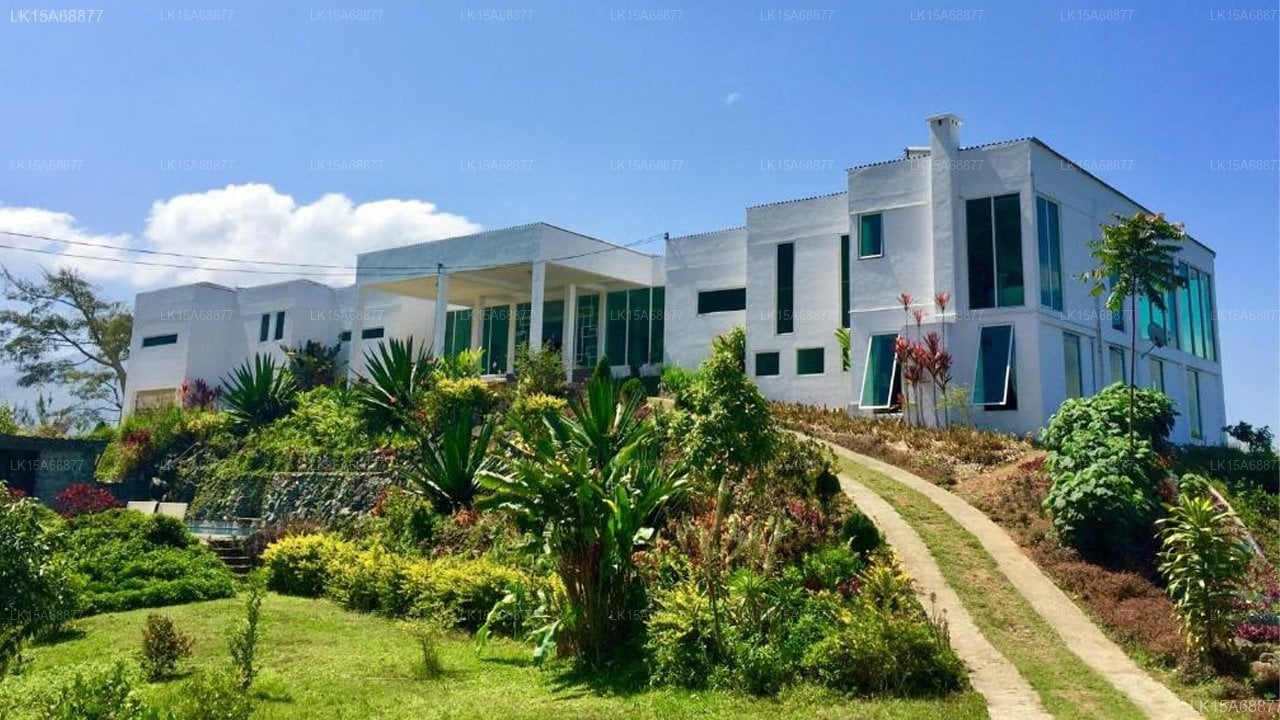 Singha Sanasa Luxury Homestay