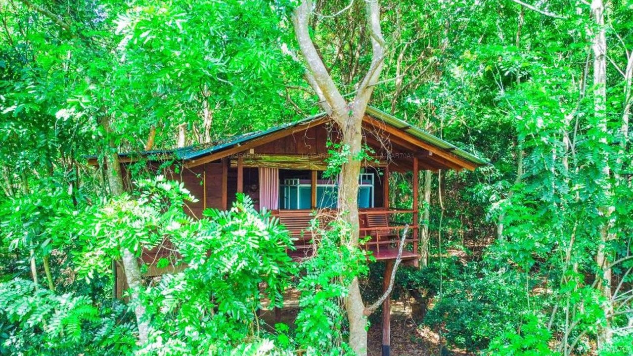 Jungle Host Hostel And Tree House