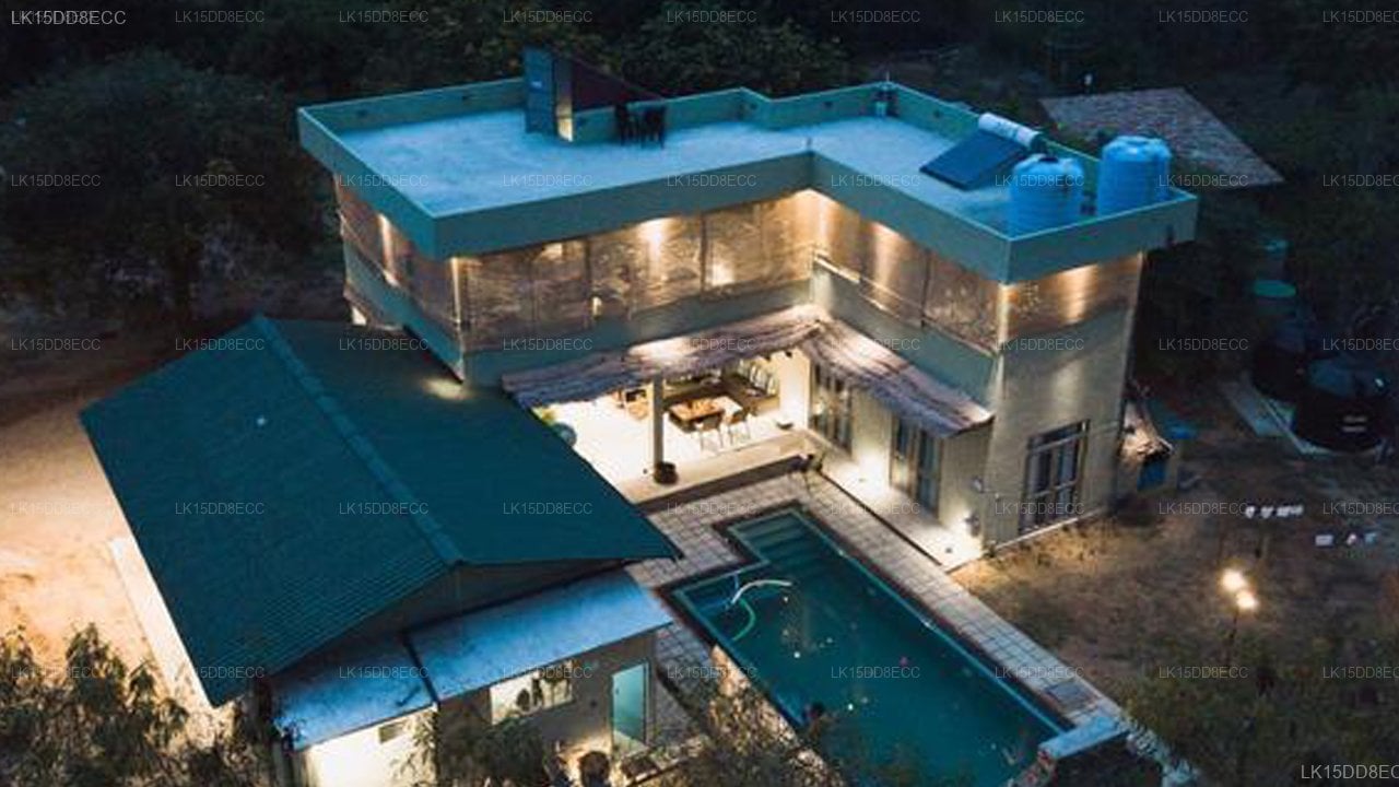 Forestville Yala