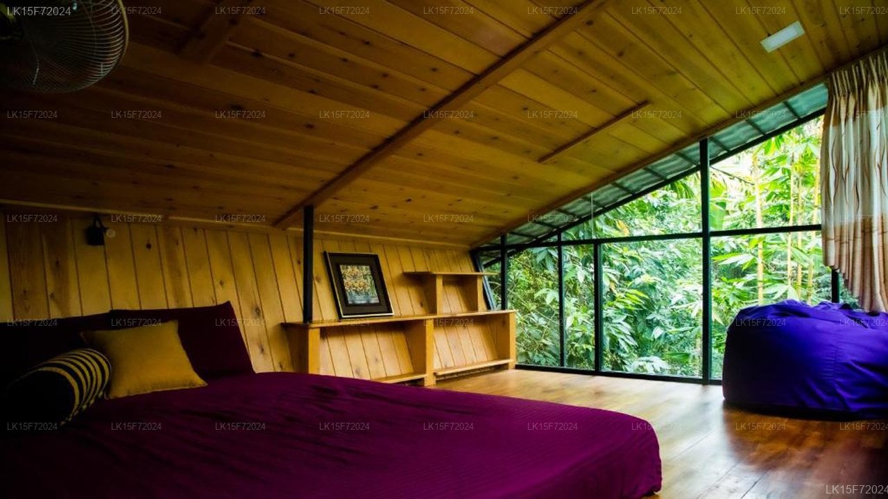 Arana Sri Lanka Eco Lodge and Yoga Center