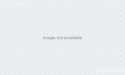 Spinifex littoreus