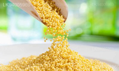 Panicum miliaceum