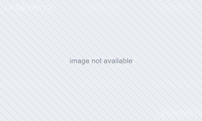 Eugenia rotundata