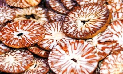Carmona retusa