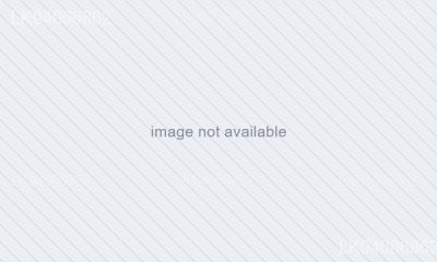 Cyrtosperma johnstonii