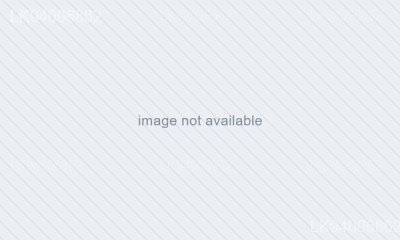 Cyrtosperma johnstonii