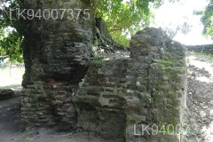 Arippu Fort