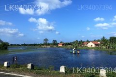 kadiraweli