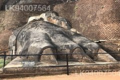 Lion's Paw Terrace