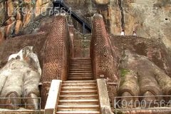 Lion's Paw Terrace