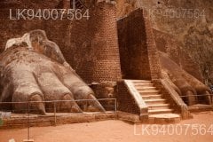 Lion's Paw Terrace