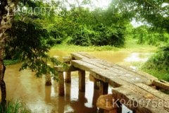Malwatu Oya Stone Bridge