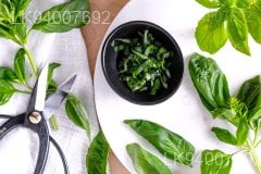 sweet basil