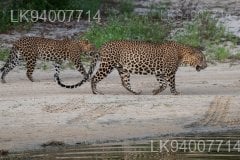 Madhu Road National Park