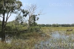 Madhu Road National Park