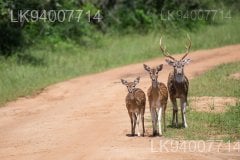 Madhu Road National Park