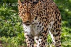 Horowpathana National Park