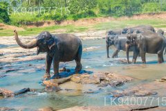 Horowpathana National Park