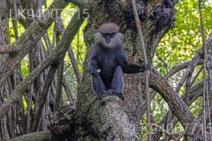 Horowpathana National Park